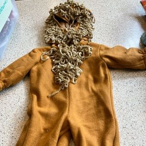 Lion costume, homemade, 6 months